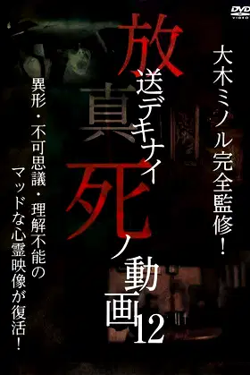 Hoso Dekinai Shi no Doga 12 poster
