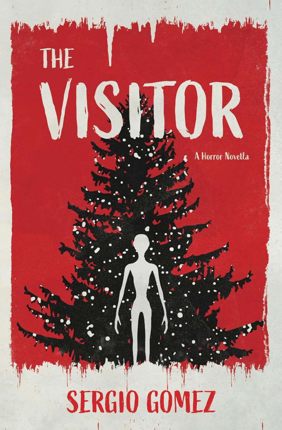 The Visitor: A Horror Novella poster