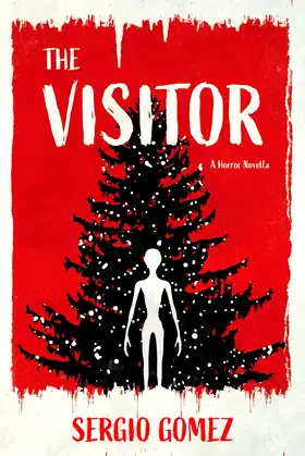 The Visitor: A Horror Novella poster
