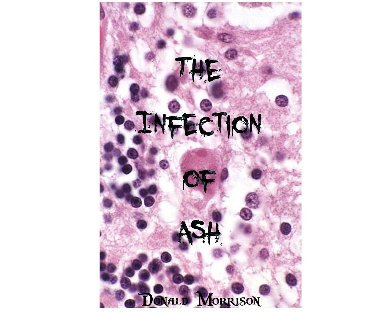 The Infection of Ash poster