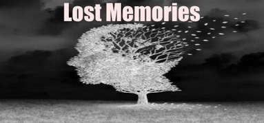 Lost Memories capsule