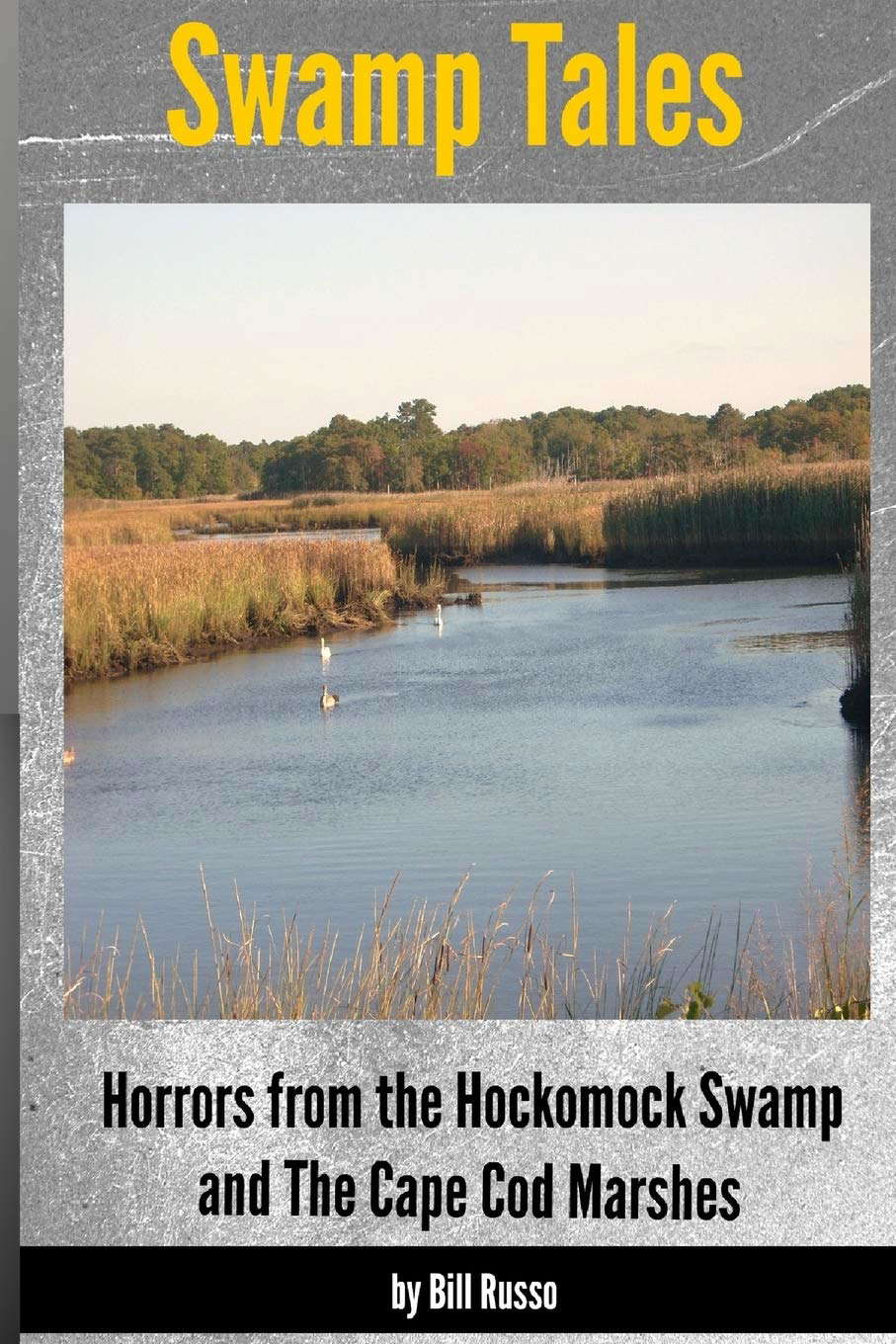 Swamp Tales: Horrors from the Hockomock Swamp and the Cape Cod Marshes poster