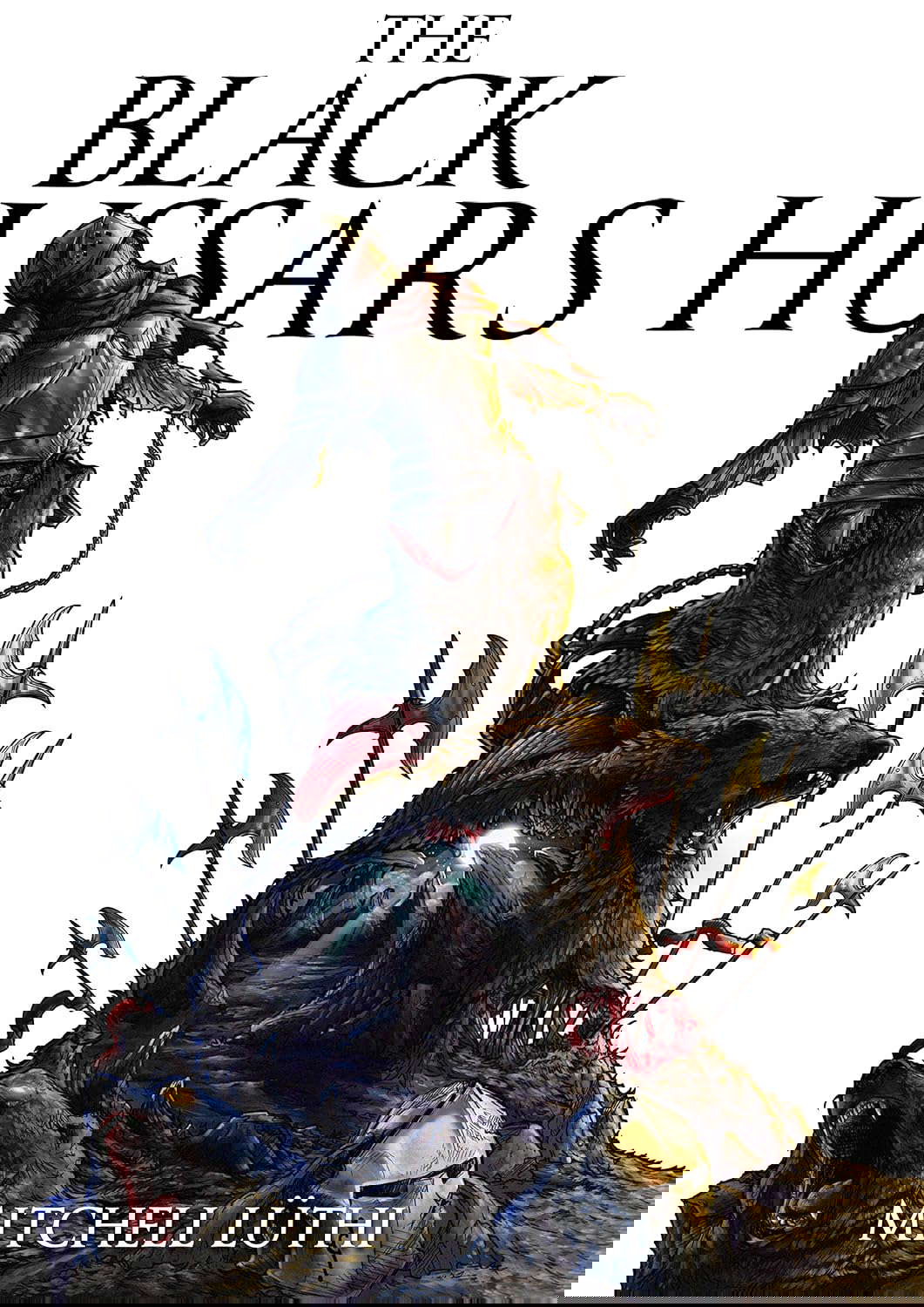 The Black Hussars poster