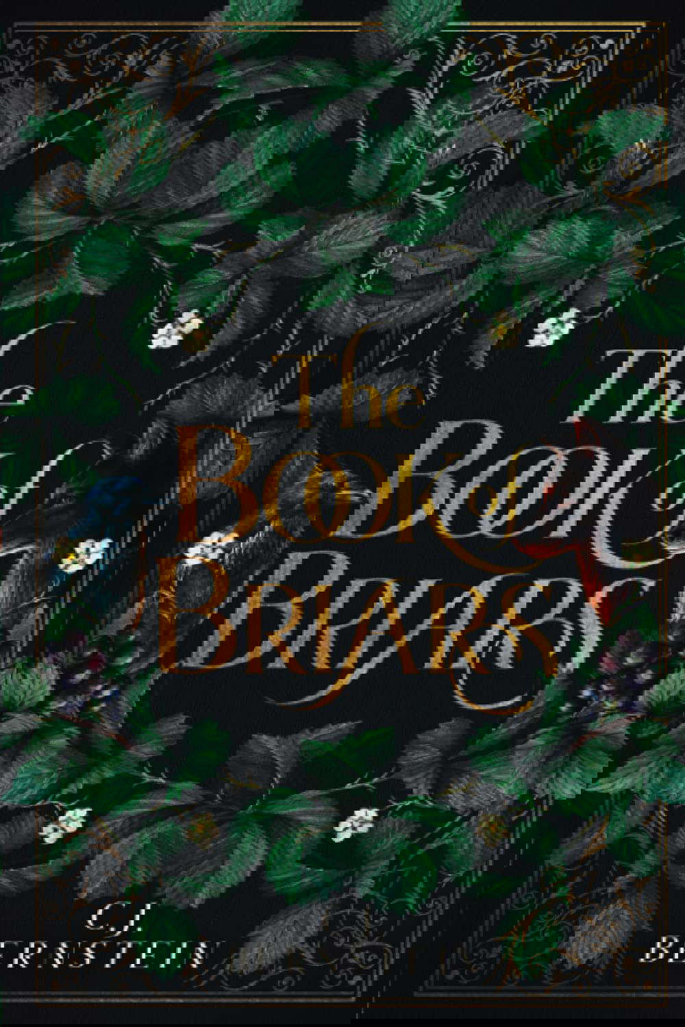 The Book of Briars (The Briar Archive) poster