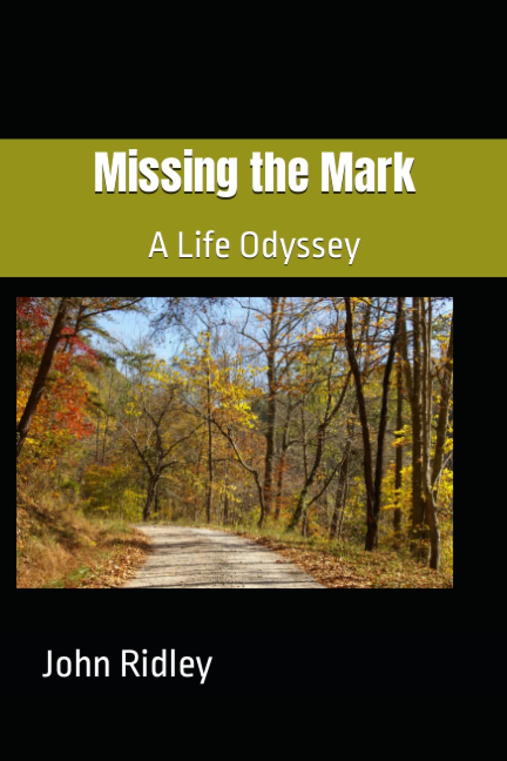 Missing the Mark: A Life Odyssey poster