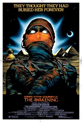 The Awakening poster