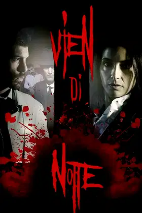 Vien di notte poster