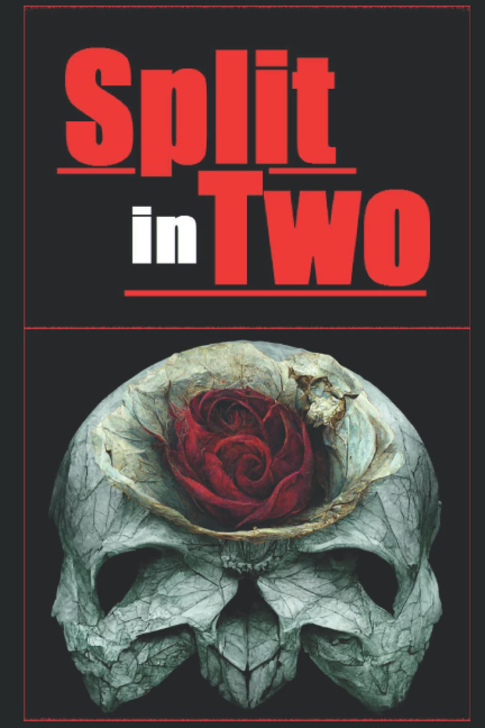 Split in Two poster