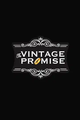 The Vintage Promise poster