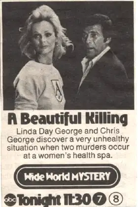 A Beautiful Killing poster