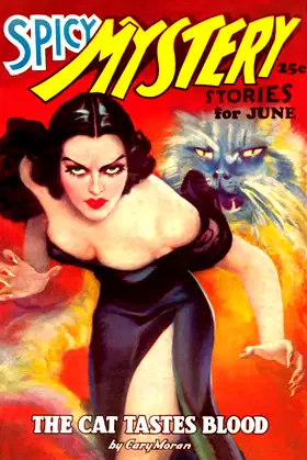 Spicy Mystery Stories – 06/36 poster