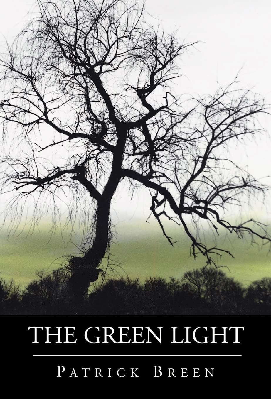 The Green Light poster