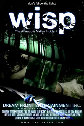 Wisp poster