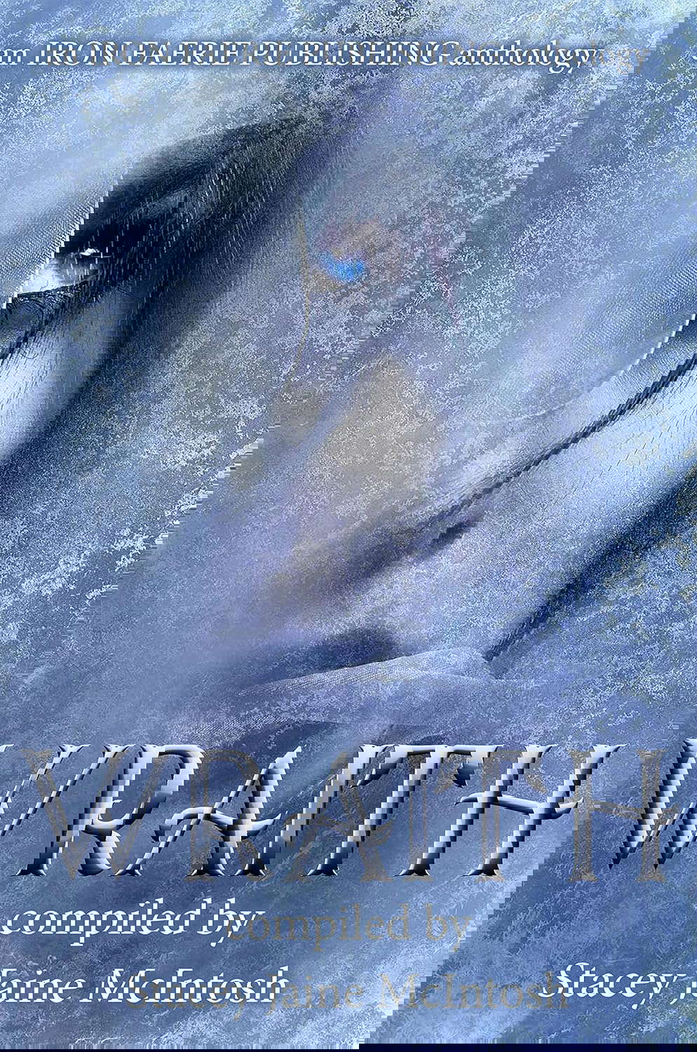 Wraith (Beyond Fantasy Series Book 6) poster