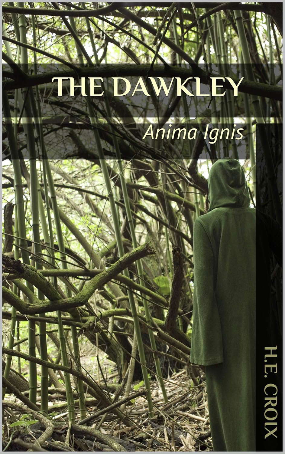 The Dawkley: Anima Ignis poster