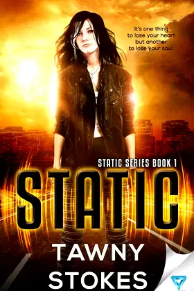 Static (Static Series) poster