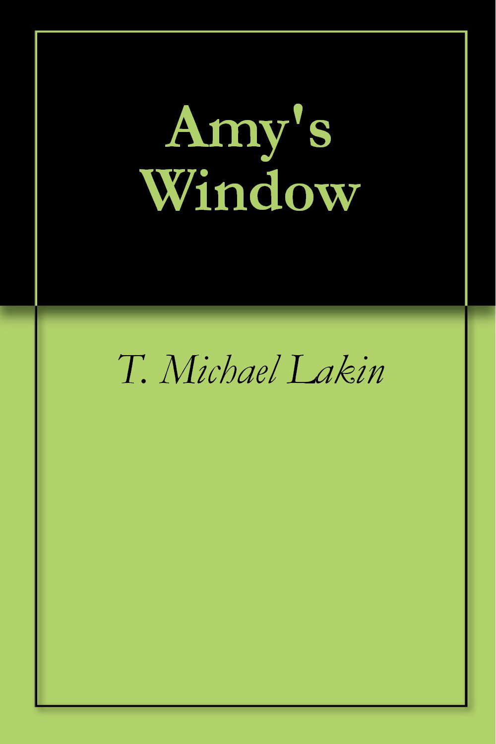 Amy's Window poster