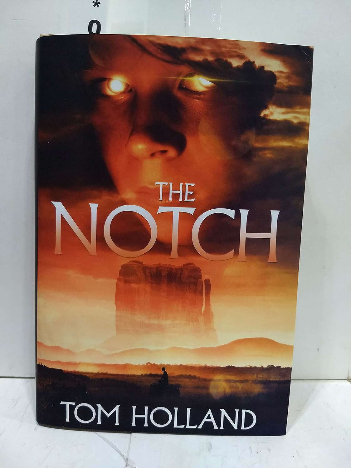 The Notch poster