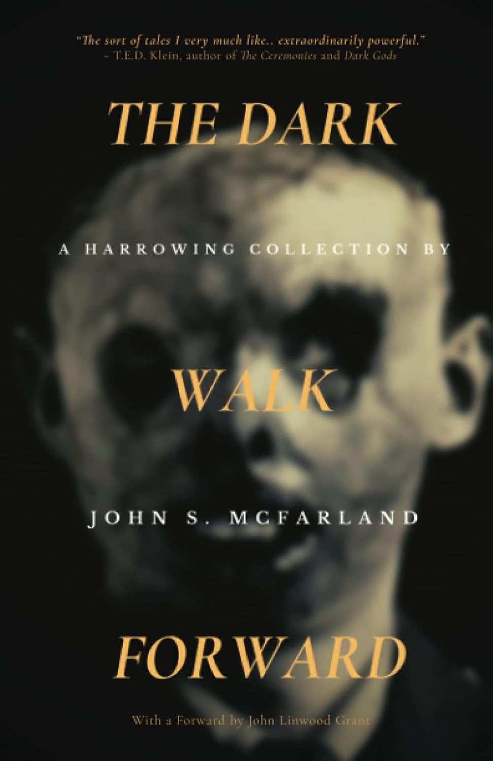 The Dark Walk Forward poster