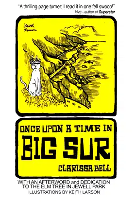 Once Upon a Time in Big Sur poster