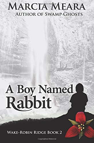 A Boy Named Rabbit: Wake-Robin Ridge Book 2 poster