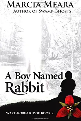 A Boy Named Rabbit: Wake-Robin Ridge Book 2 poster