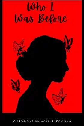 Who I Was Before poster
