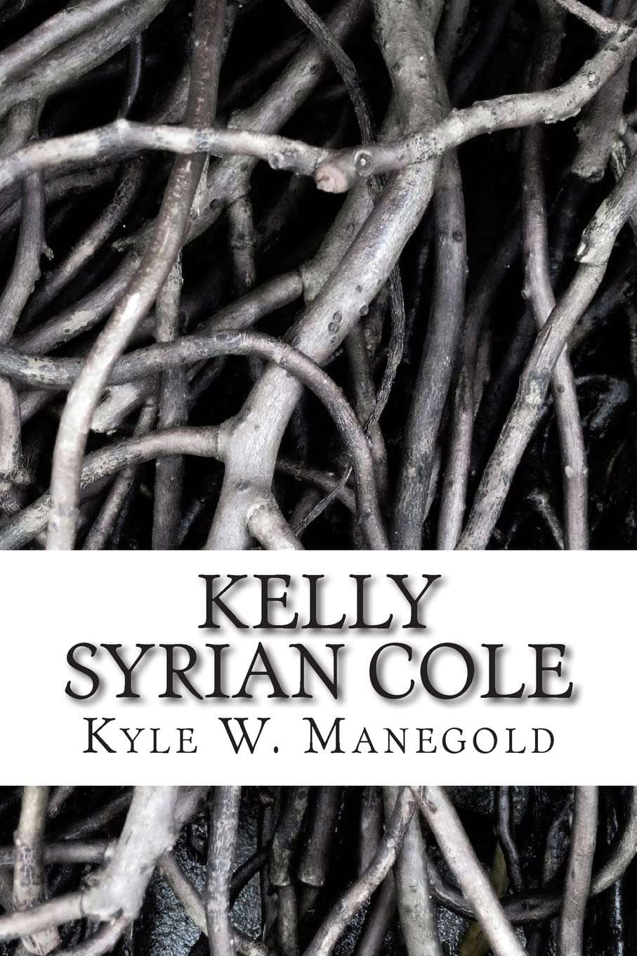 Kelly Syrian Cole: Death Takes Its Toll (Goon Squad Novels) poster
