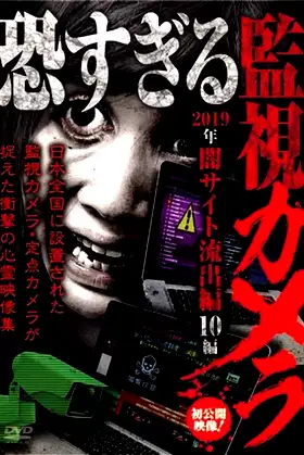 Extremely Scary Surveillance Camera: 2019 Dark Web Leaks Edition - 10 Clips poster