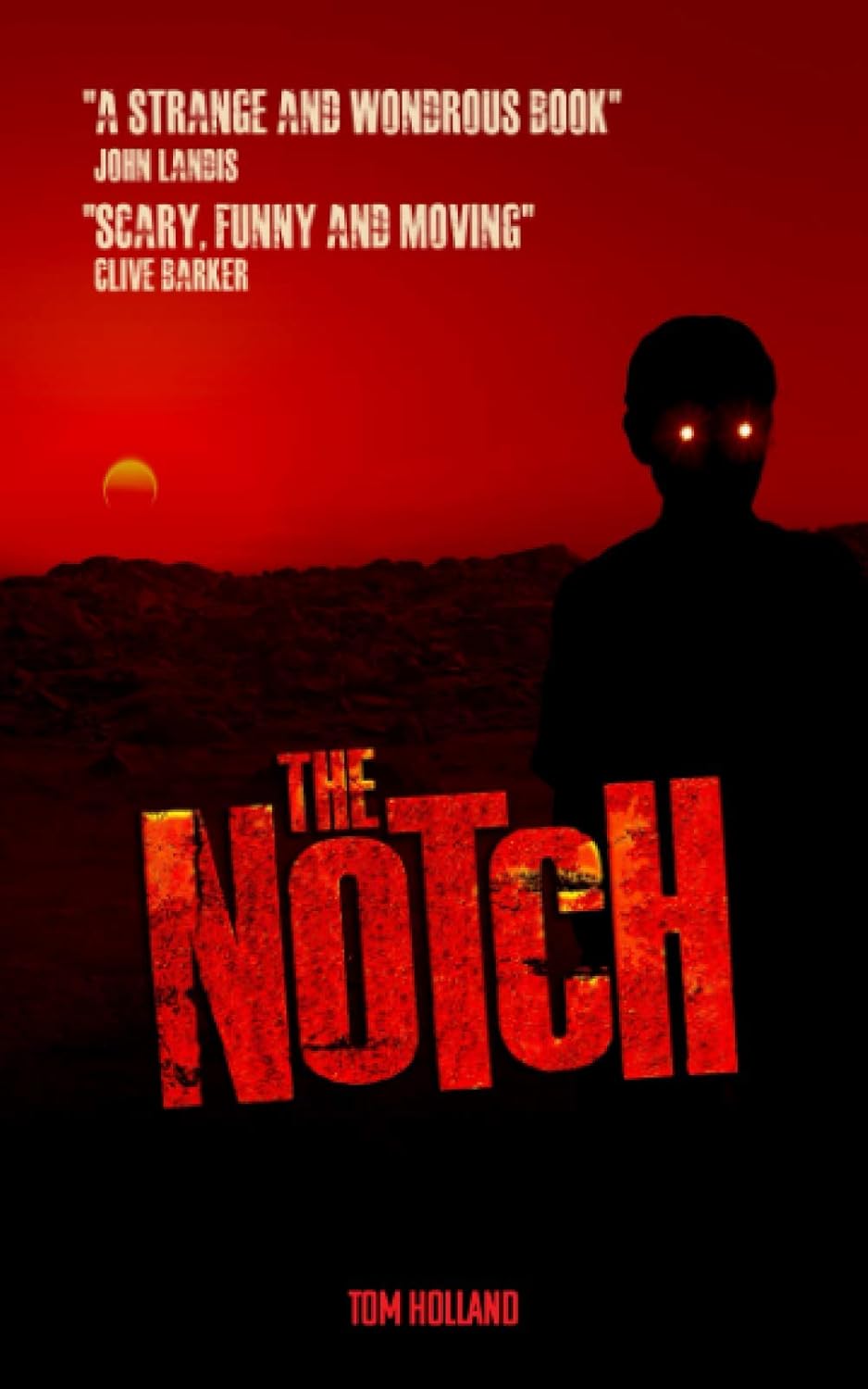 The Notch poster