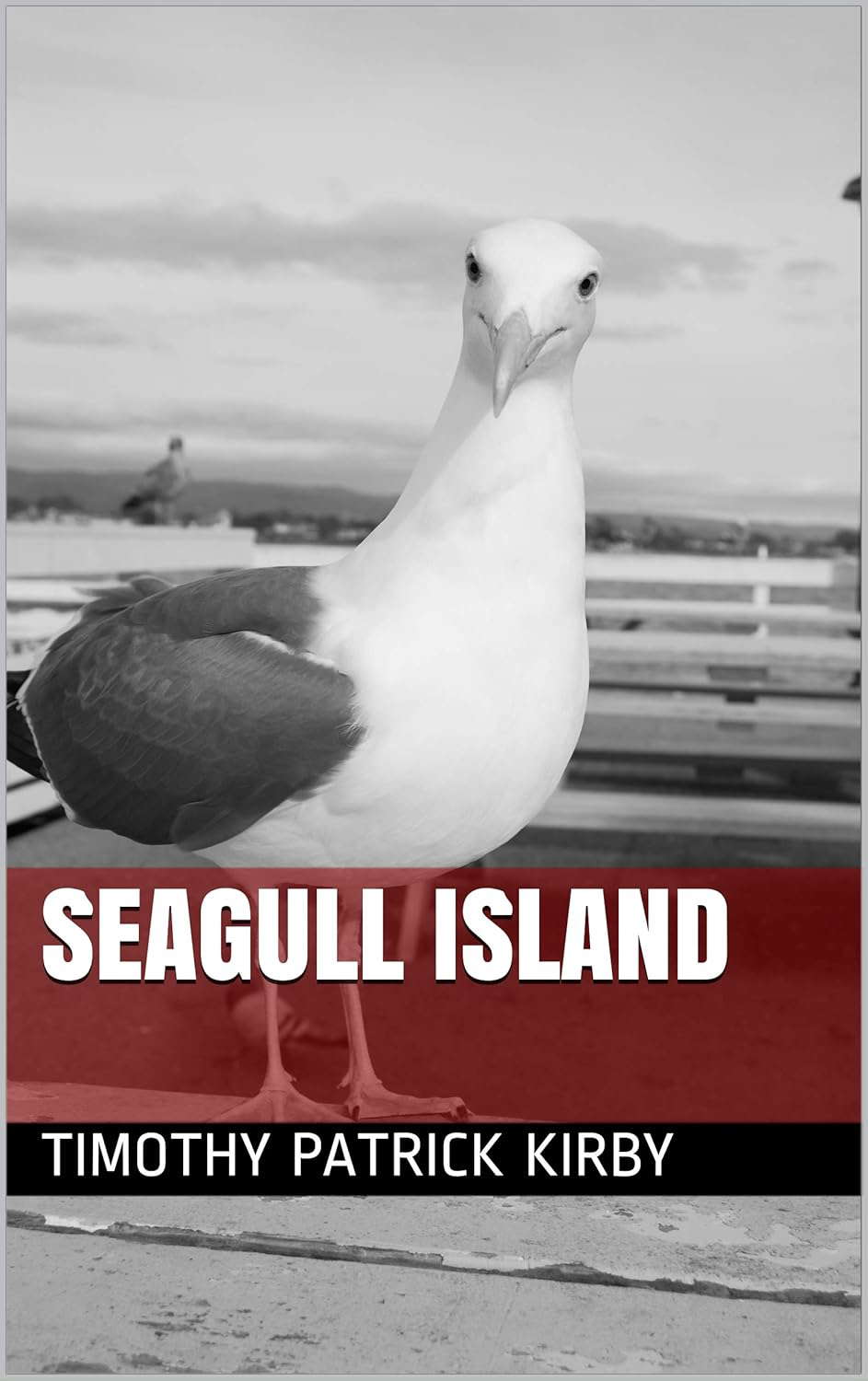 Seagull Island poster