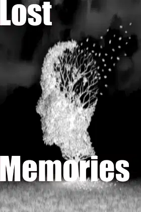 Lost Memories poster