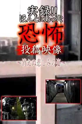Actual Record! Real Horror Posted Video: The Unfading Figure of Sorrow poster