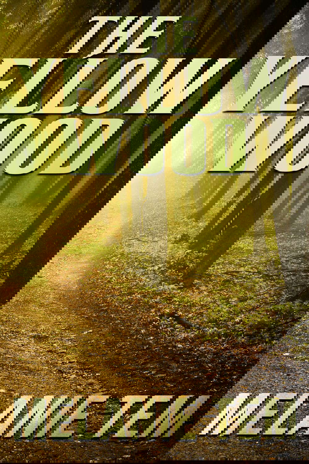 The Yellow Wood poster