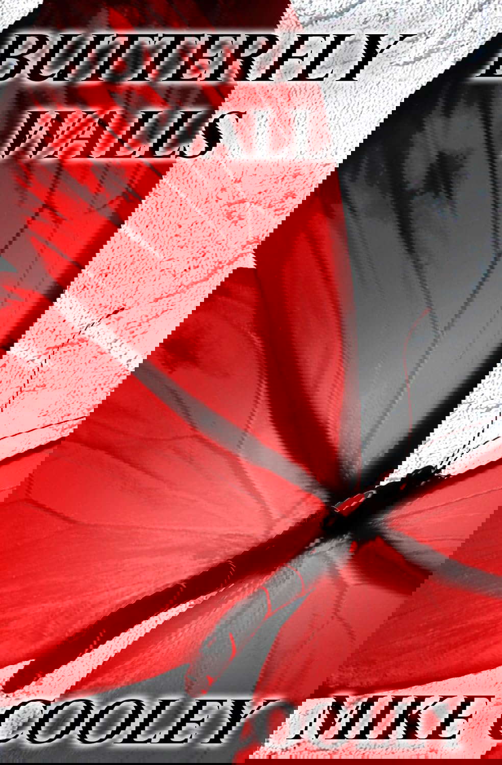 Butterfly Walls poster