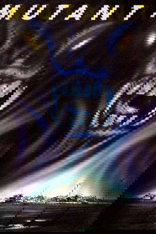 Night Shadows poster