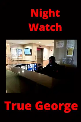 Night Watch poster
