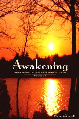 Awakening poster