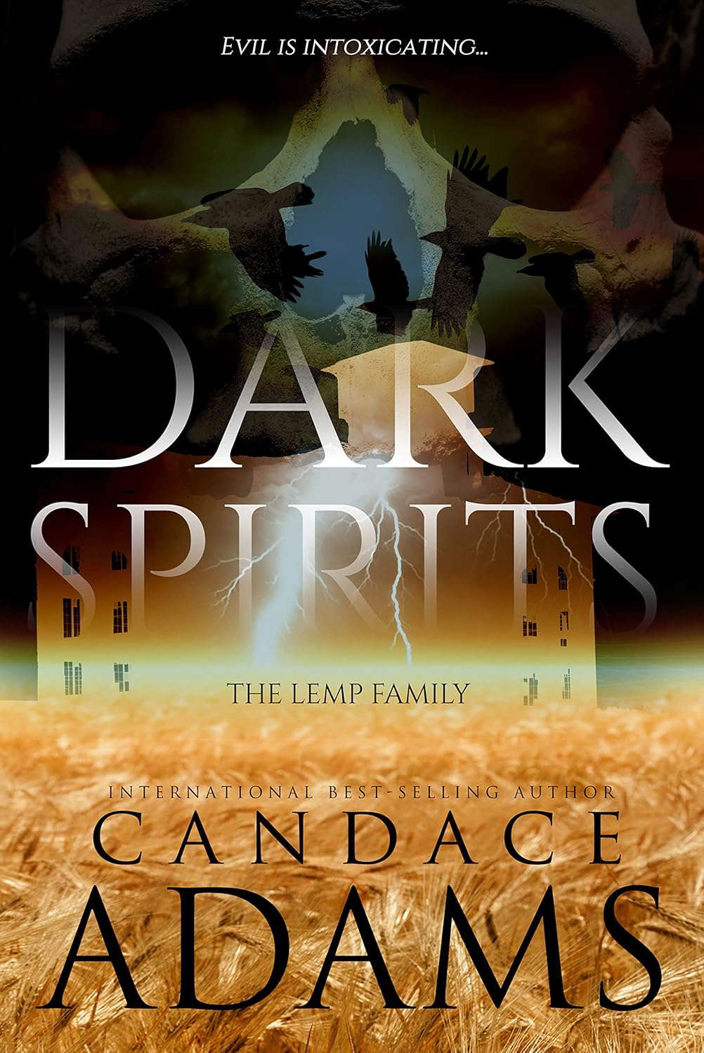 Dark Spirits: The Lemp Family (Dark Series) poster