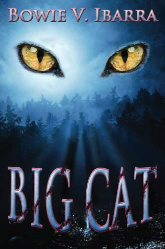 Big Cat poster