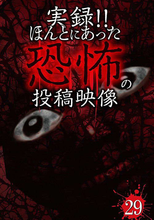 Actual Record! Real Horror Posted Video 29 poster
