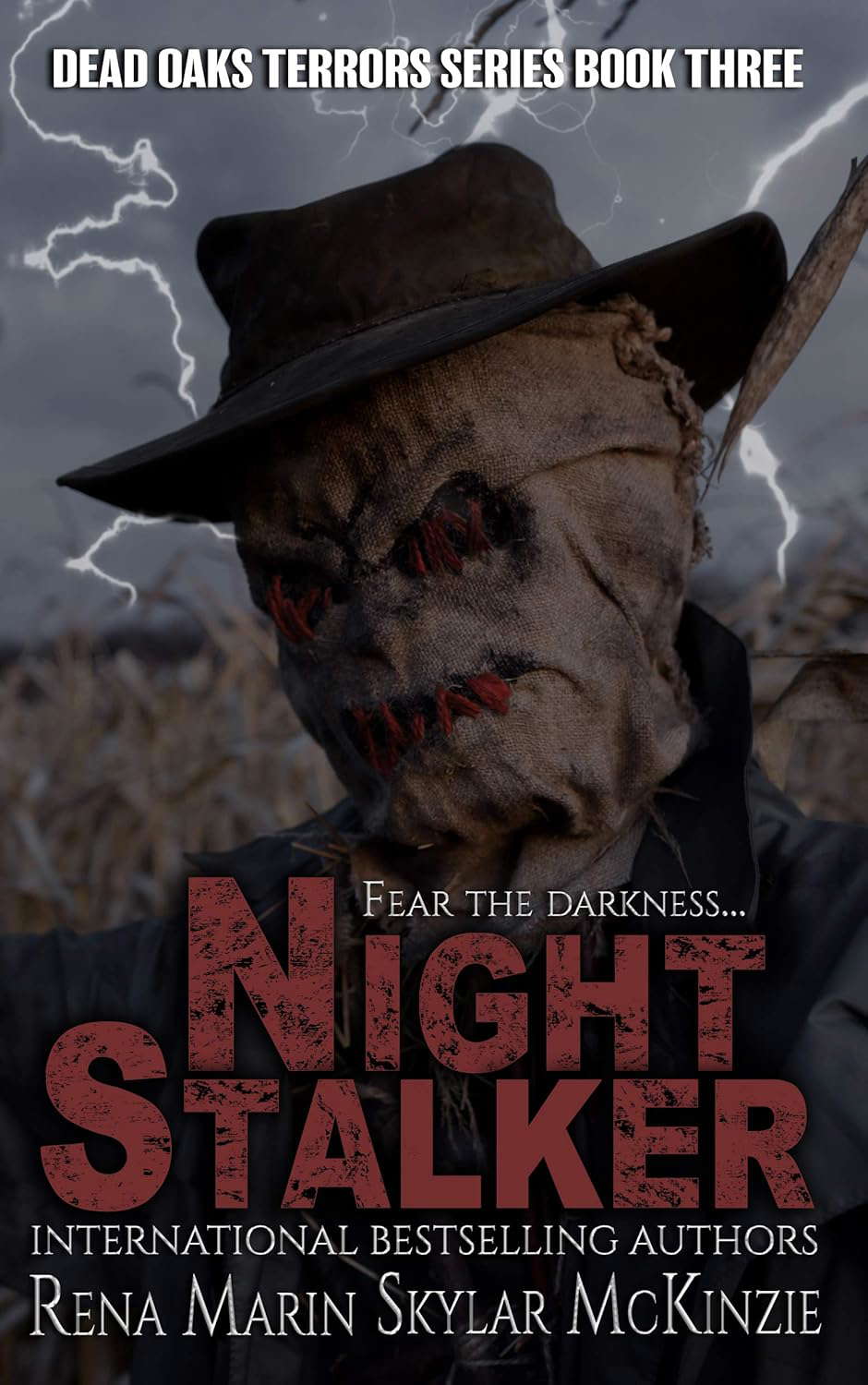 Night Stalker: A Dead Oaks Terrors Series Novella poster