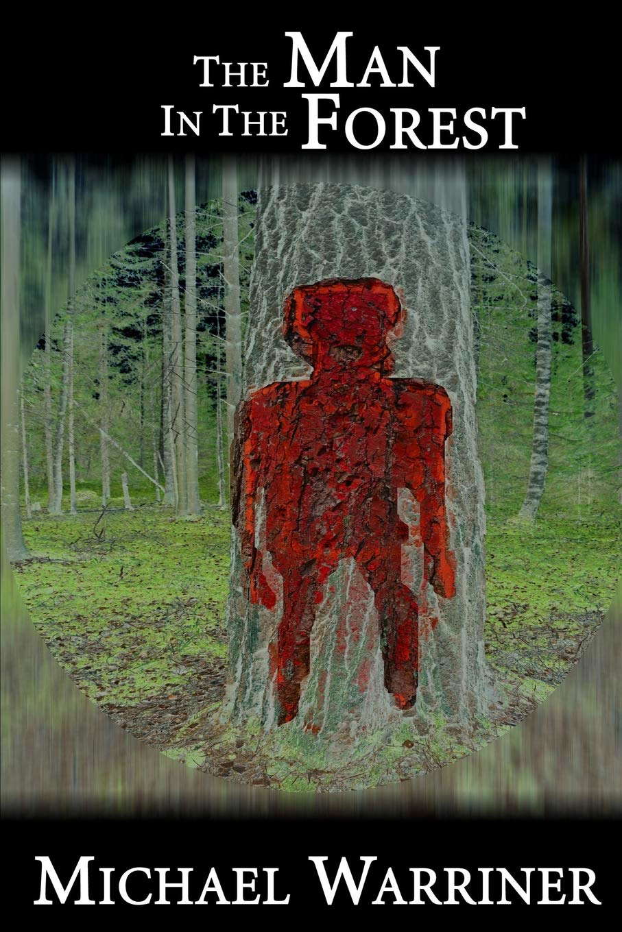 The Man In The Forest poster