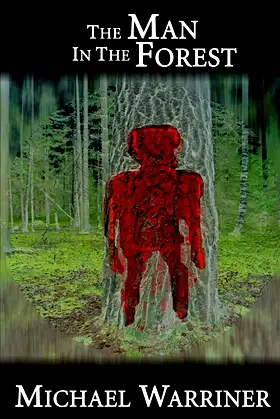 The Man In The Forest poster