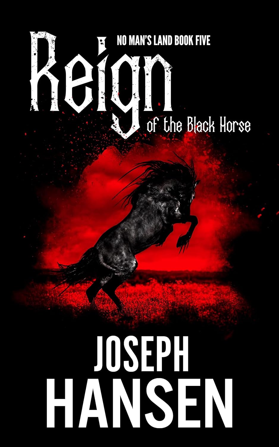 Reign Of The Black Horse: No Man's Land Book 5 poster