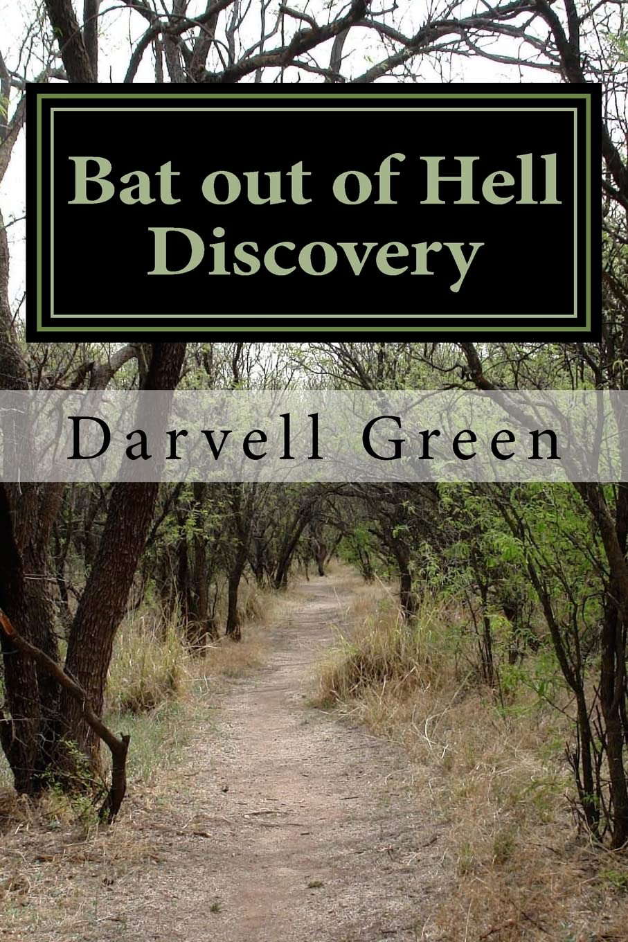 Bat out of Hell Discovery (Volume 1) poster