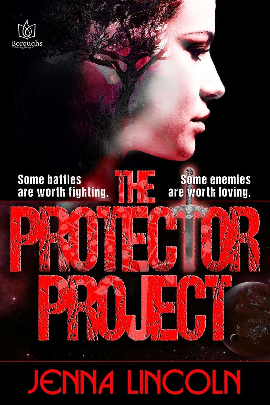 The Protector Project poster