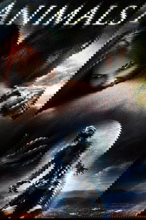Animals poster