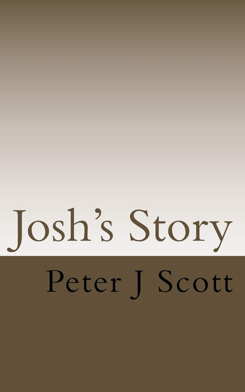 Josh's Story poster