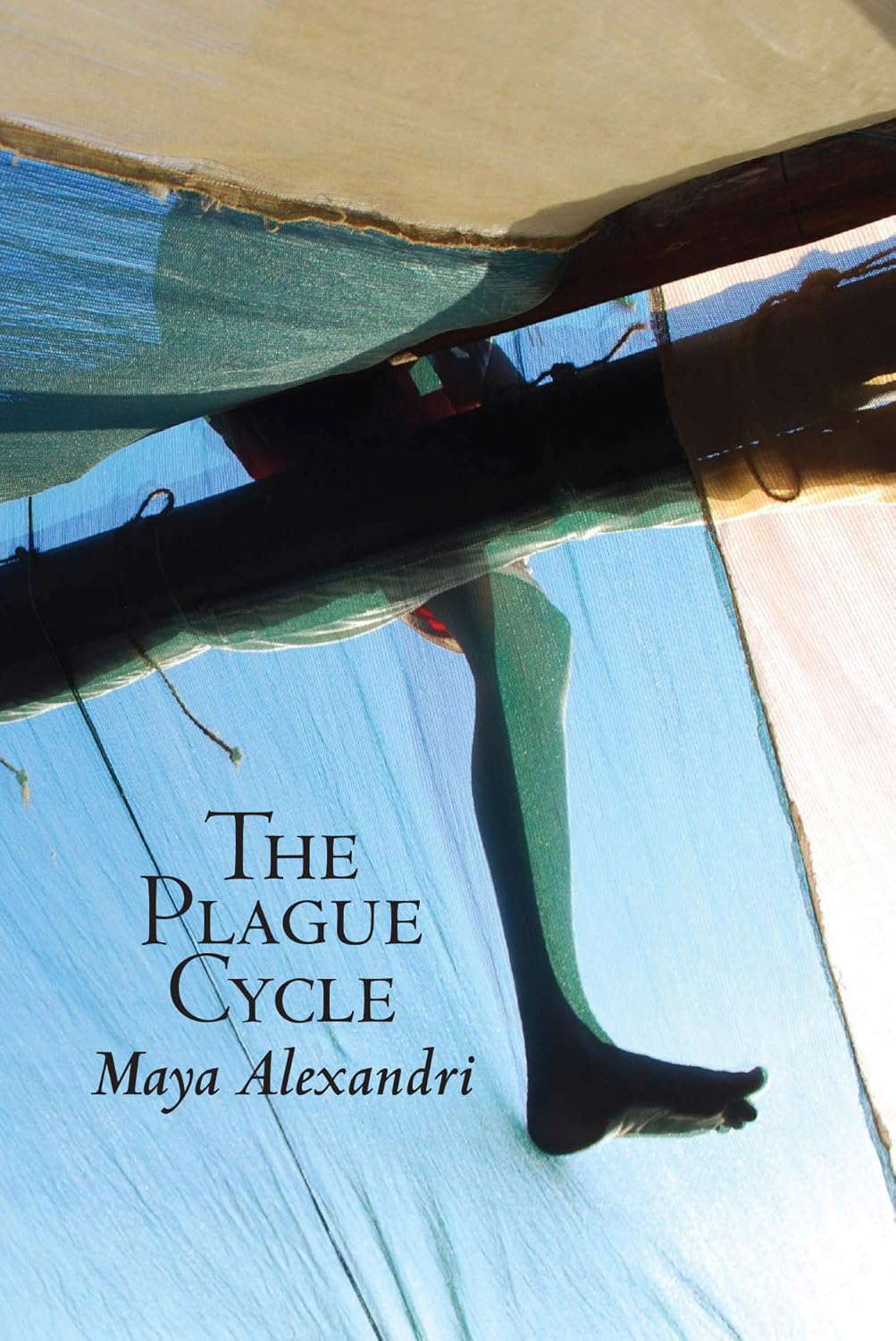 The Plague Cycle: A collection of linked short stories poster